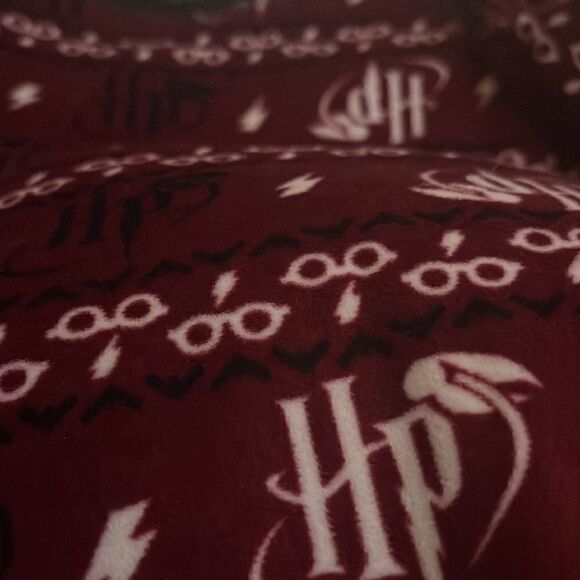 Harry Potter Womens M Pajama Set Burgundy Initials Striped Velour Very Soft Warm - Picture 4 of 8